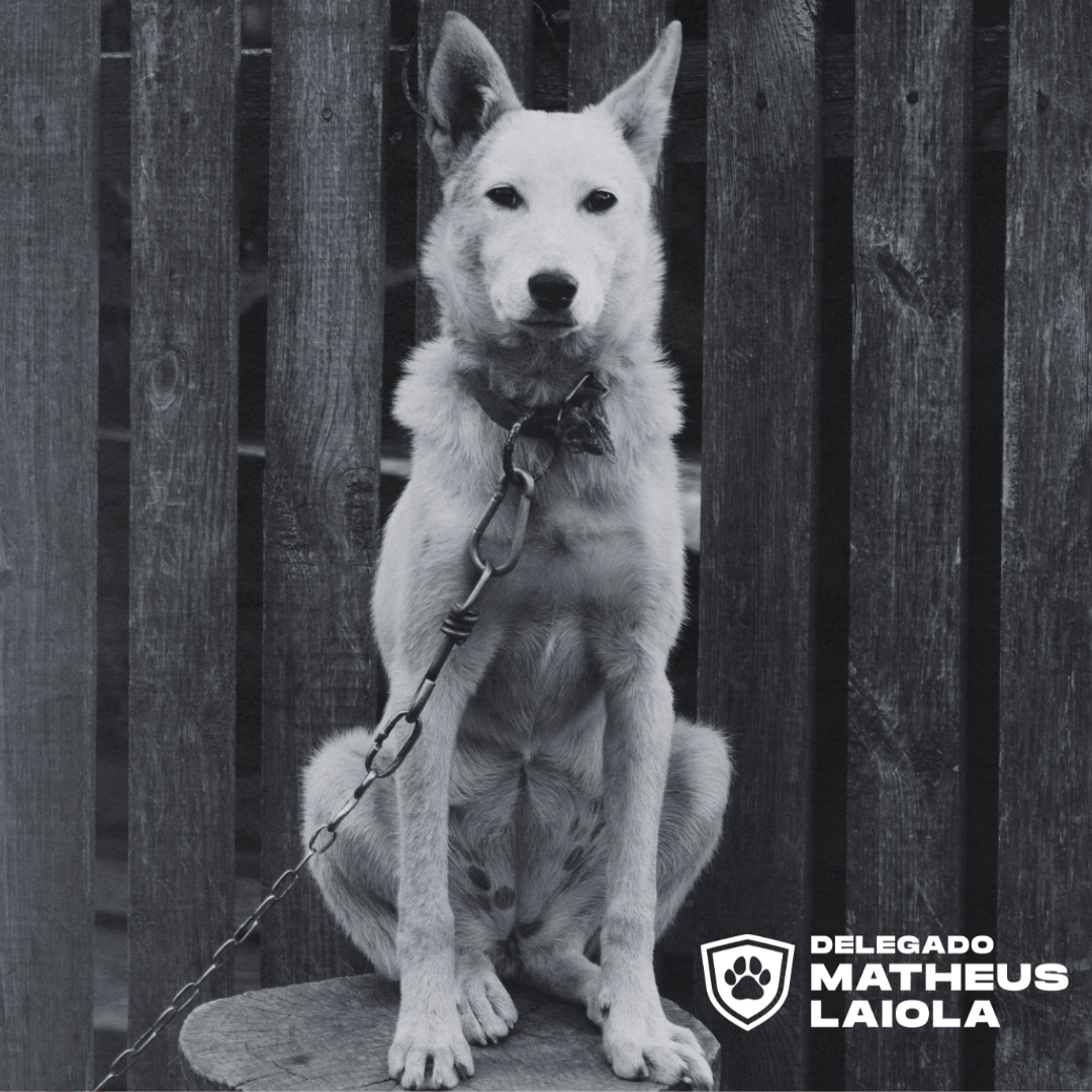 Inserir um subtítulo (2)