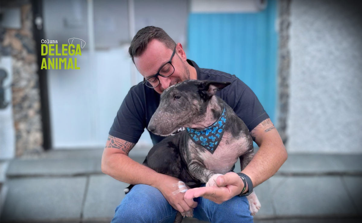 Na linha de frente: o papel das autoridades na investigação e combate a crimes de maus-tratos