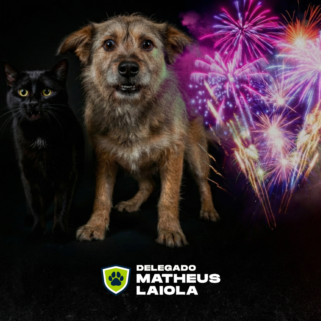 fogos matheus laiola