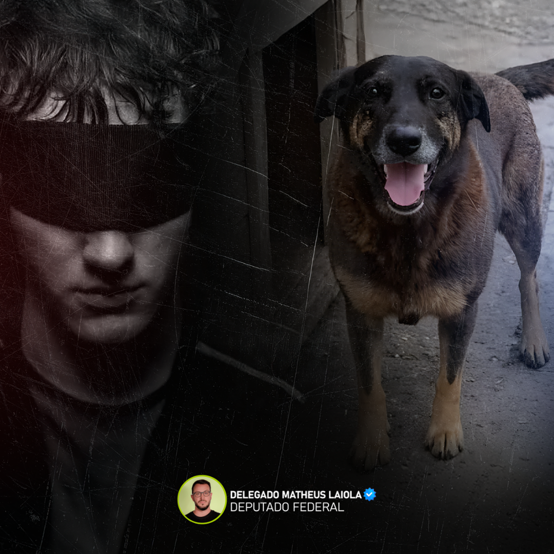 REDUCAO MAIORIDADE PENAL 1080x1080