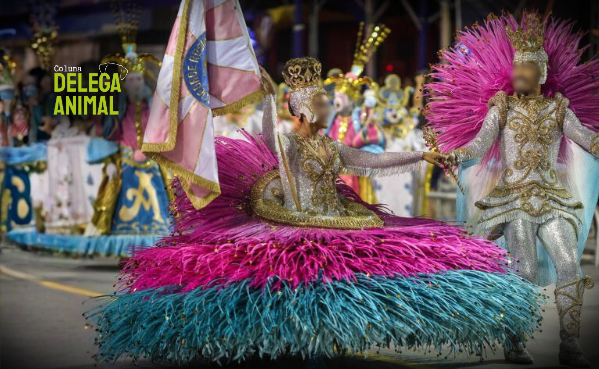 Sofrimento não é adereço: a batalha ética do Carnaval