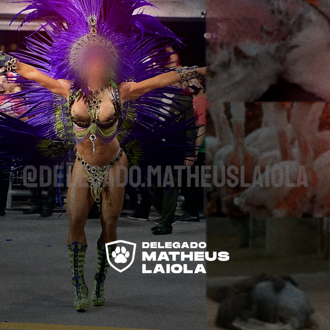 AA_Plumas_carnaval_bannersite v2