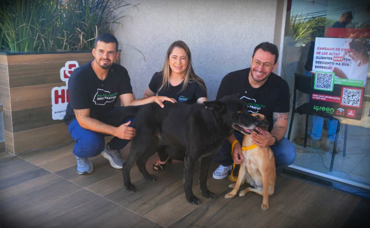 Cães comunitários desaparecem de Centro de distribuição em Araucária e são localizados em Campo Largo