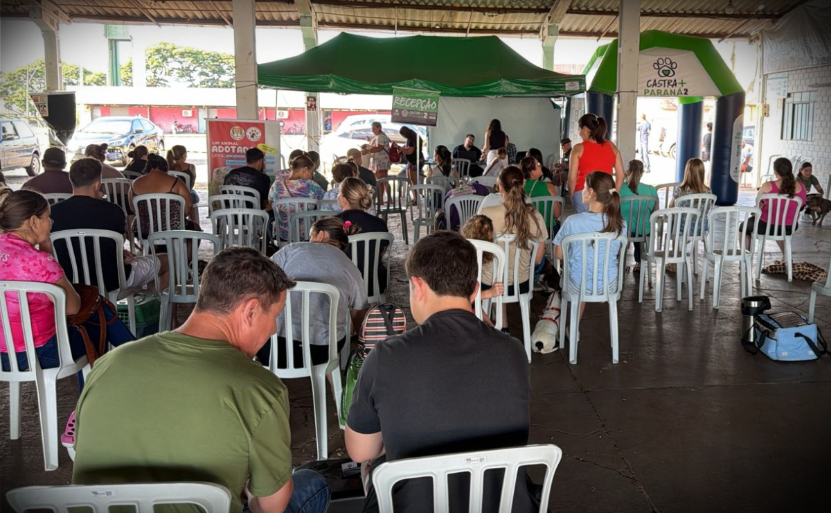 Castra+Paraná 2 chega a Umuarama com mutirão de castrações gratuitas