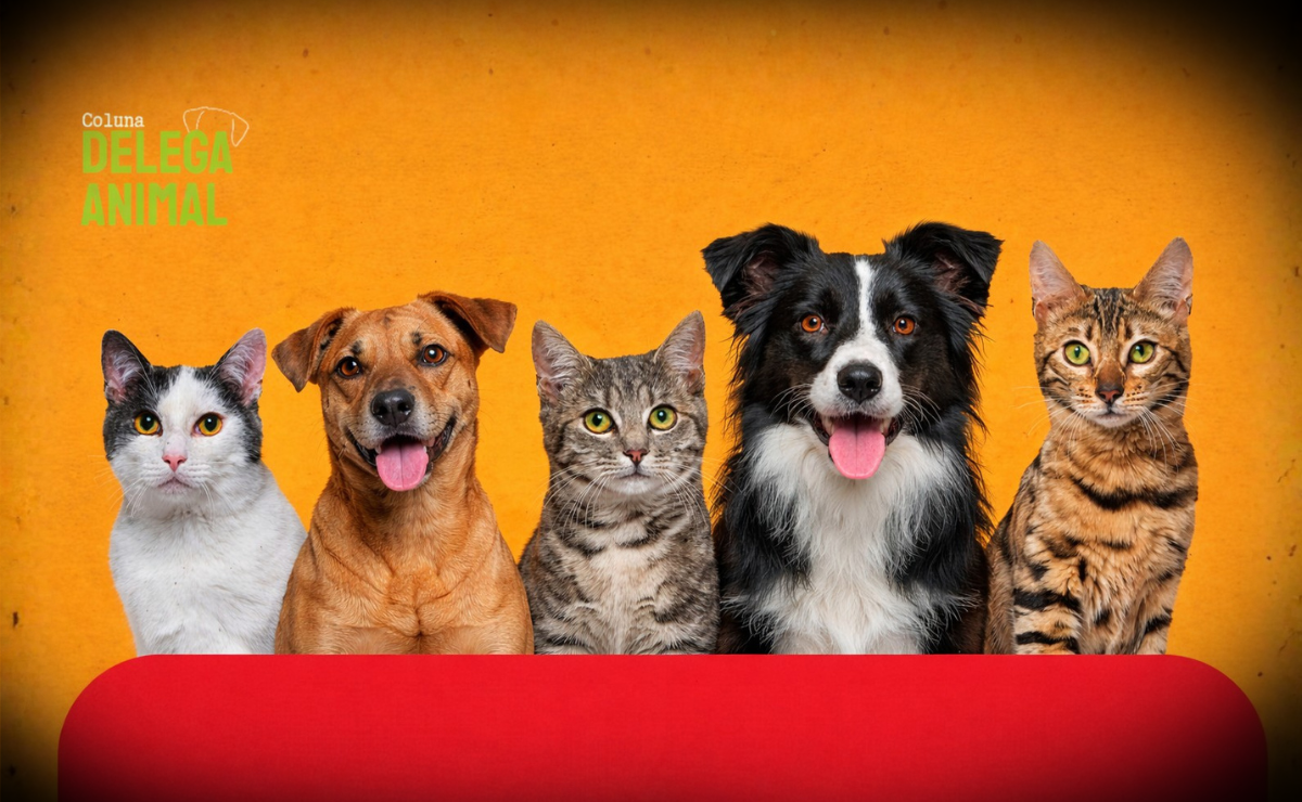 Mentiras que matam: desmistificando boatos sobre a saúde animal