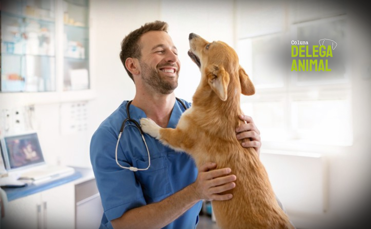 Dia Mundial do Médico Veterinário: o papel desse profissional na denúncia de crimes