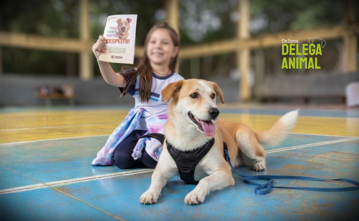 Direito animal na escola: educando as novas gerações para o respeito e cuidado